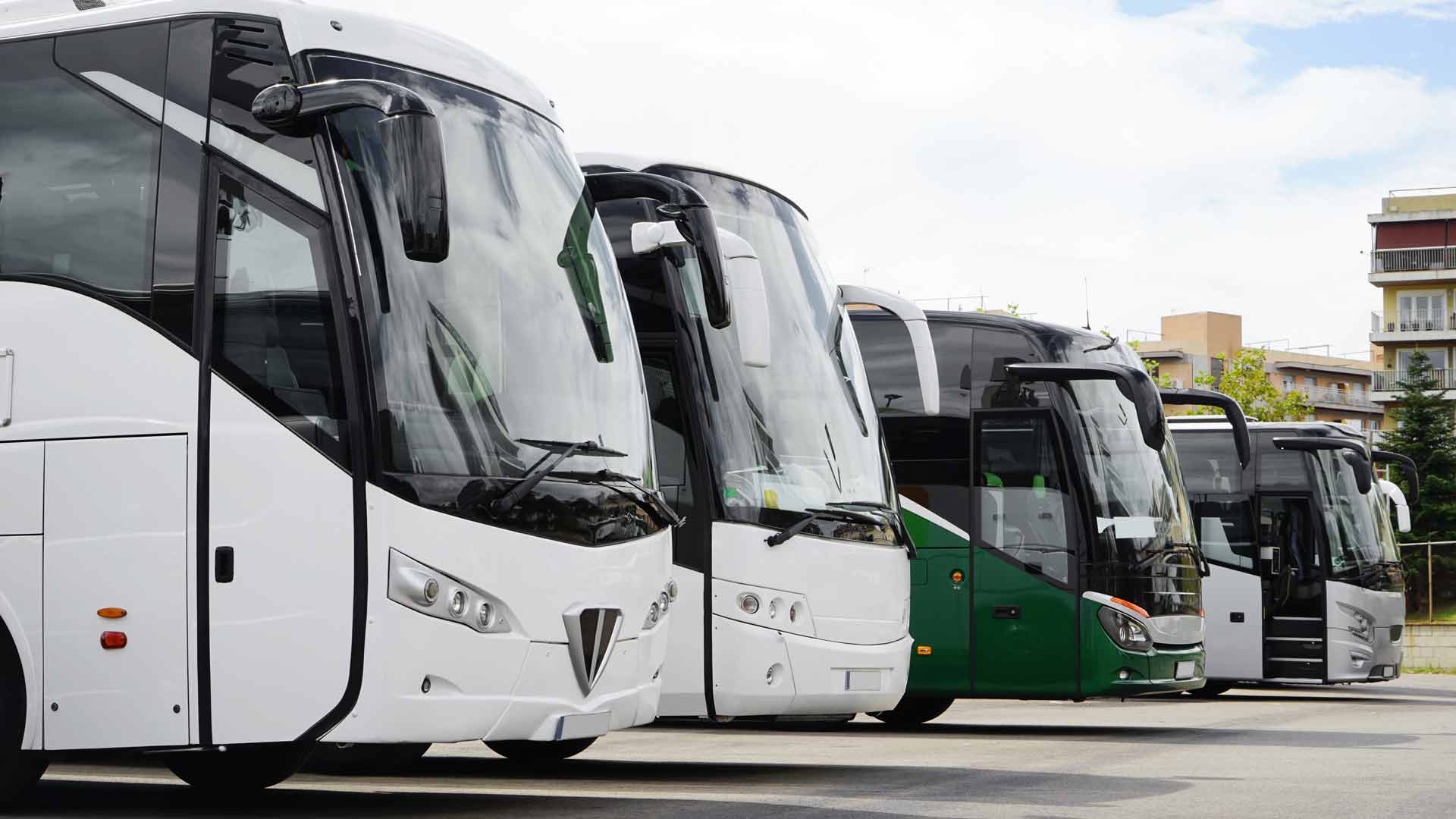 Buses at the station